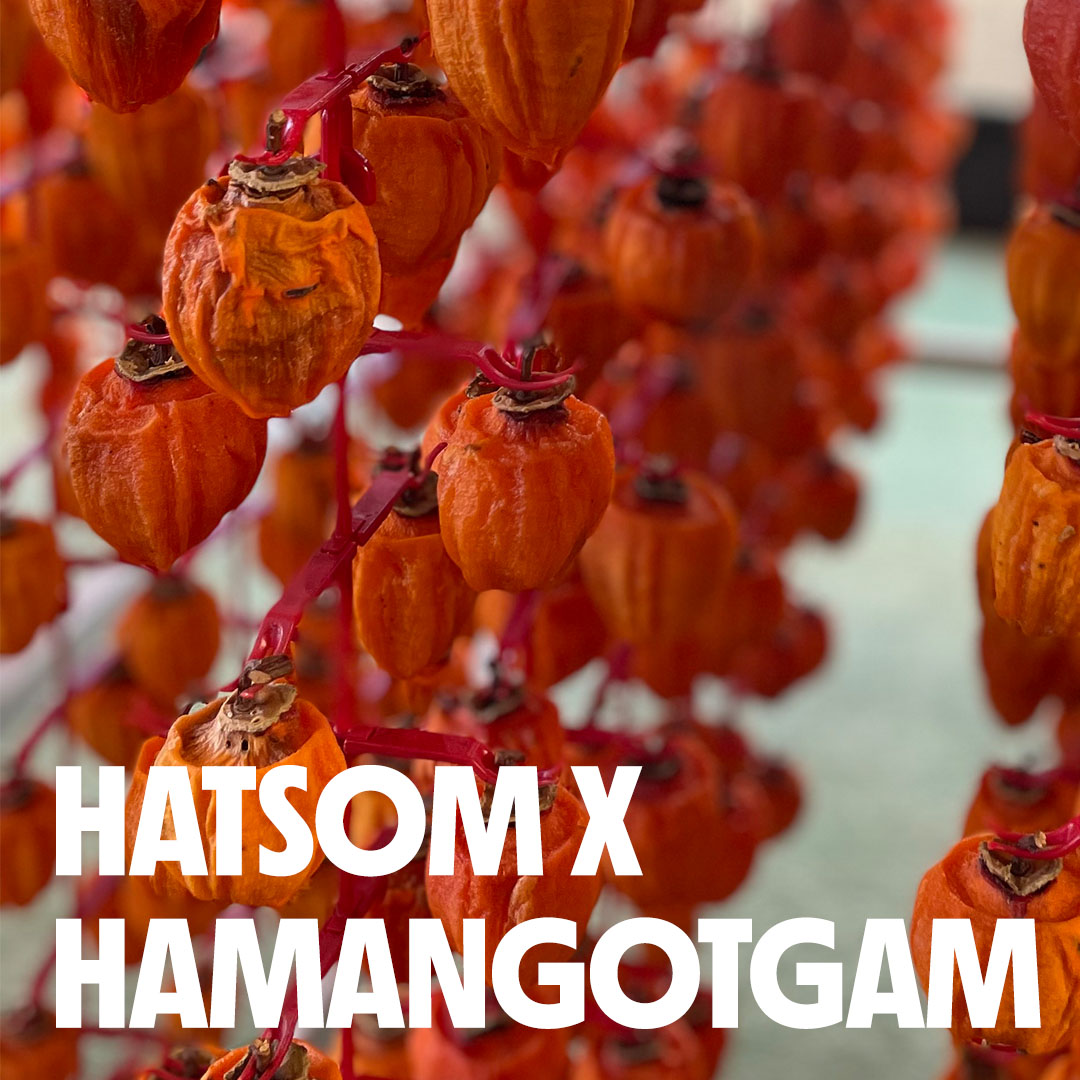[HAMANGOTGAM with @hatsom__] HATSOM’s Choice